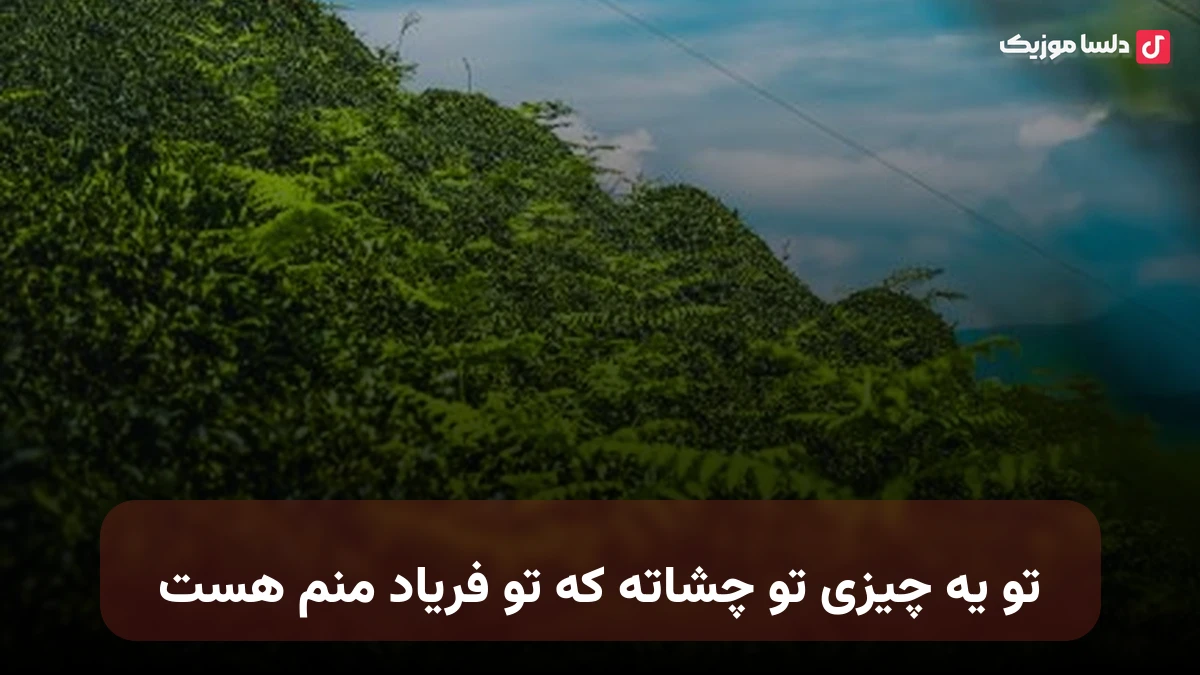 تو یه چیزی تو چشاته که تو فریاد منم هست